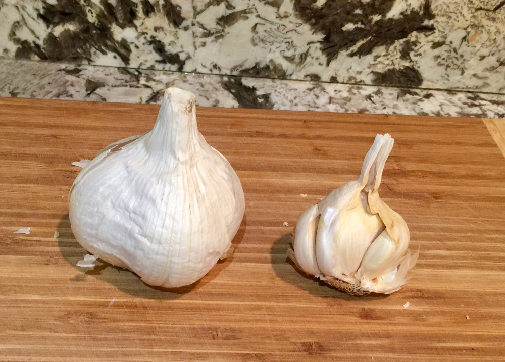 Elephant Garlic Vs. Regular Garlic